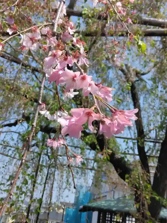 普門院(神奈川県)