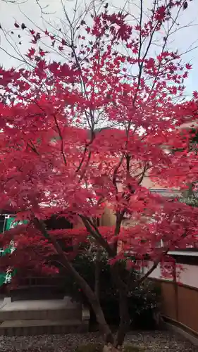 加恵瑠神社(岐阜県)