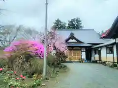 遠照寺の建物その他