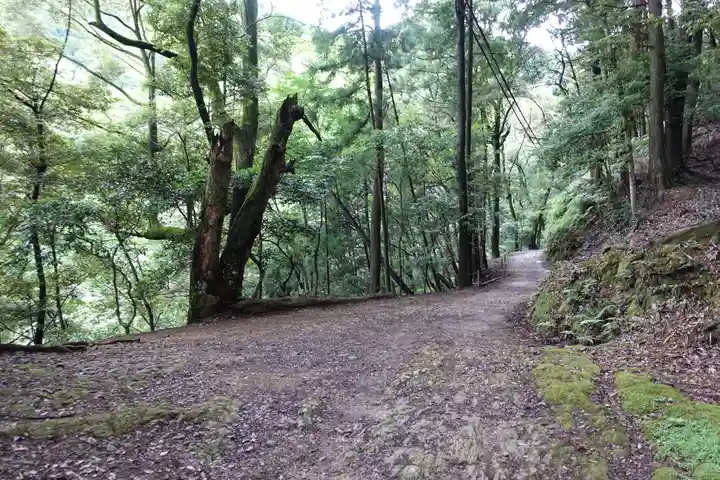 醍醐寺(上醍醐)の自然