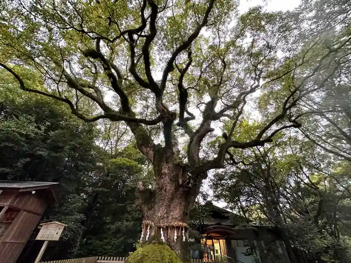 熱田神宮(愛知県)