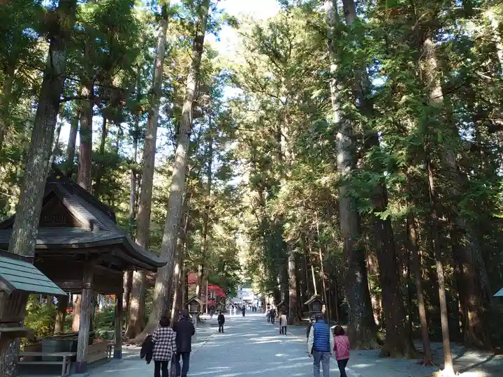 小國神社の自然