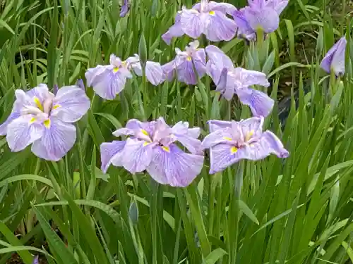 堀切天祖神社祖霊社(東京都)