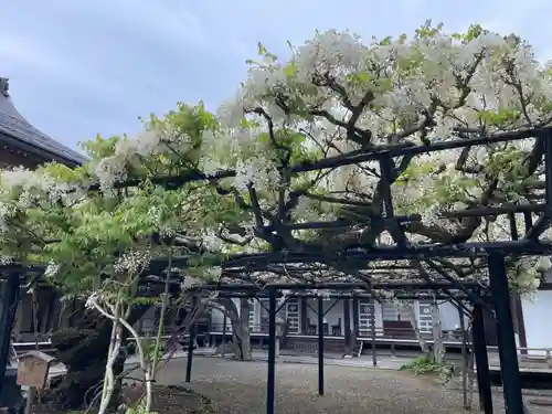 総持院(和歌山県)