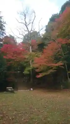 諏訪神社(鳥取県)