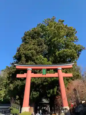 河口浅間神社(山梨県)
