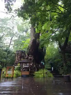 來宮神社(静岡県)