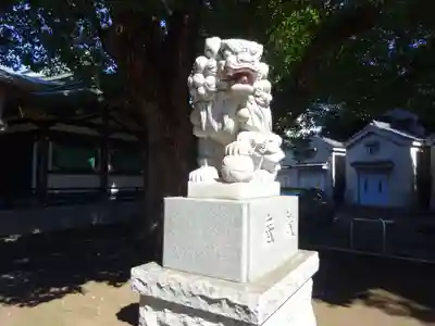 穴八幡宮の狛犬