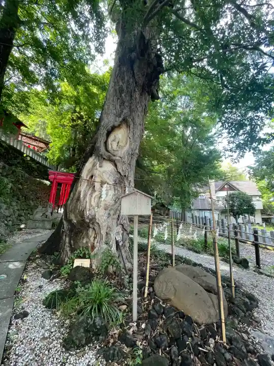山名八幡宮(群馬県)