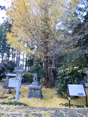 涼ケ岡八幡神社(福島県)