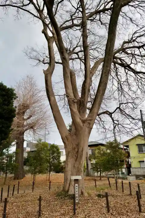 春日神社の{uncategorized: "未分類", other: "その他", undefined: "問題あり", building: "その他建物", grave: "お墓", sacred_gate: "鳥居", guardian: "狛犬", statue: "像", buddha: "仏像", history: "歴史", nature: "自然", garden: "庭園", animal: "動物", pagoda: "塔", temizu: "手水舎", mountain_gate: "山門・神門", sanctuary: "本殿・本堂", subordinate: "末社・摂社", art: "芸術", scenery: "景色", jizo: "地蔵", ema: "絵馬", goshuin: "御朱印", omikuji: "おみくじ", items: "授与品その他", amulet: "お守り", goshuincho: "御朱印帳", eats: "食事", festival: "お祭り", votive_dance: "神楽", shichigosan: "七五三参", wedding: "結婚式", experience: "体験その他", initially: "初詣", around: "周辺", anti_infection: "感染症対策"}