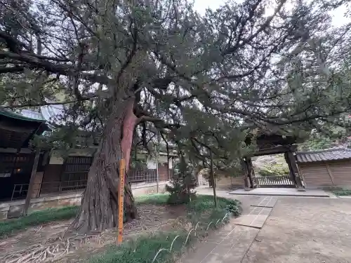 円覚寺(神奈川県)