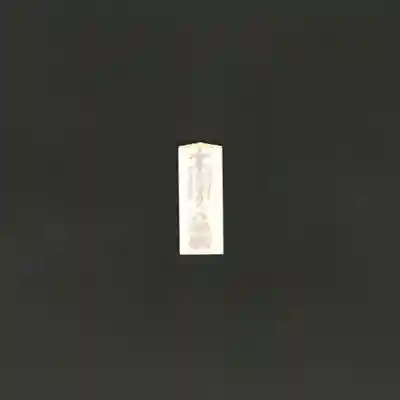 光胤山 大野本光寺のお守り