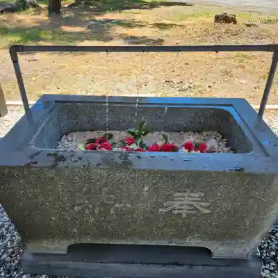 小平潟天満宮の{uncategorized: "未分類", other: "その他", undefined: "問題あり", building: "その他建物", grave: "お墓", sacred_gate: "鳥居", guardian: "狛犬", statue: "像", buddha: "仏像", history: "歴史", nature: "自然", garden: "庭園", animal: "動物", pagoda: "塔", temizu: "手水舎", mountain_gate: "山門・神門", sanctuary: "本殿・本堂", subordinate: "末社・摂社", art: "芸術", scenery: "景色", jizo: "地蔵", ema: "絵馬", goshuin: "御朱印", omikuji: "おみくじ", items: "授与品その他", amulet: "お守り", goshuincho: "御朱印帳", eats: "食事", festival: "お祭り", votive_dance: "神楽", shichigosan: "七五三参", wedding: "結婚式", experience: "体験その他", initially: "初詣", around: "周辺", anti_infection: "感染症対策"}