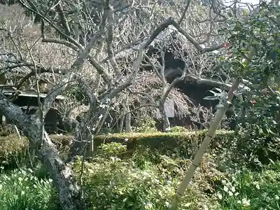瑞泉寺のその他建物