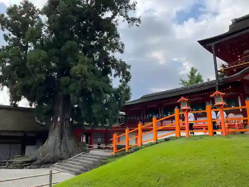 春日大社のその他建物