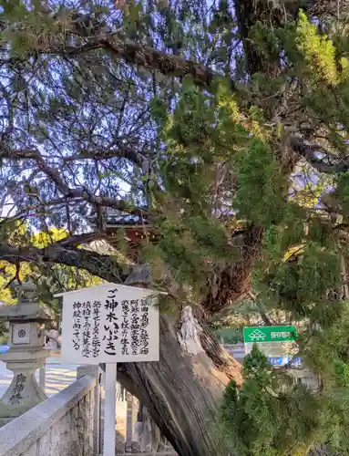 高砂神社(兵庫県)