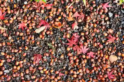 豊景神社(福島県)