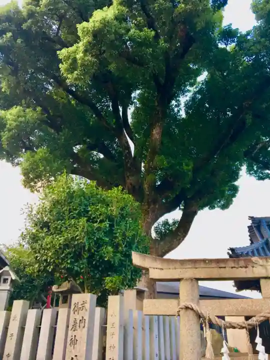 常世岐姫神社の自然
