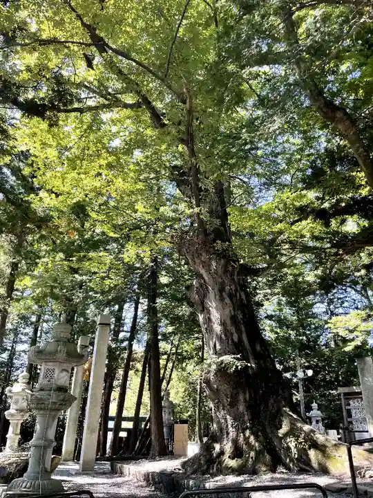 諏訪大社下社秋宮(長野県)