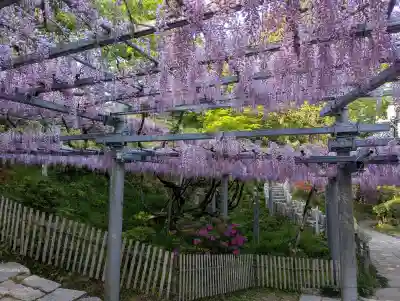 阿智神社(岡山県)