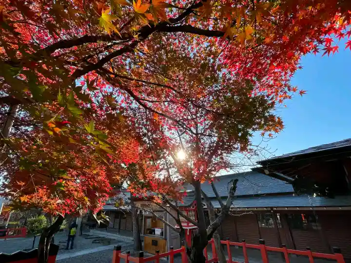 車折神社の{uncategorized: "未分類", other: "その他", undefined: "問題あり", building: "その他建物", grave: "お墓", sacred_gate: "鳥居", guardian: "狛犬", statue: "像", buddha: "仏像", history: "歴史", nature: "自然", garden: "庭園", animal: "動物", pagoda: "塔", temizu: "手水舎", mountain_gate: "山門・神門", sanctuary: "本殿・本堂", subordinate: "末社・摂社", art: "芸術", scenery: "景色", jizo: "地蔵", ema: "絵馬", goshuin: "御朱印", omikuji: "おみくじ", items: "授与品その他", amulet: "お守り", goshuincho: "御朱印帳", eats: "食事", festival: "お祭り", votive_dance: "神楽", shichigosan: "七五三参", wedding: "結婚式", experience: "体験その他", initially: "初詣", around: "周辺", anti_infection: "感染症対策"}