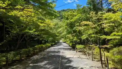 二尊院(京都府)