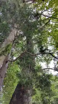 賀茂神社(滋賀県)