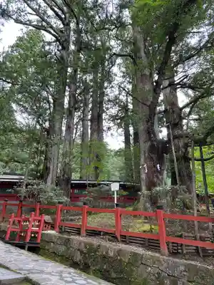 日光二荒山神社(栃木県)