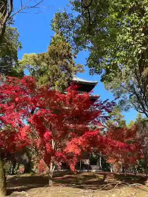 仁和寺(京都府)