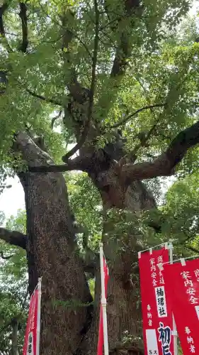 住吉大社の自然