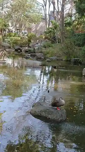 和樂備神社の動物