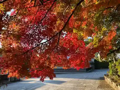 伊勢の国 四天王寺(三重県)