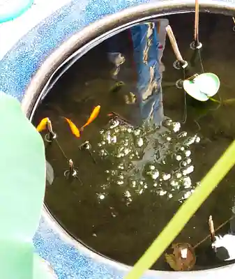 福寿観音(東京都)