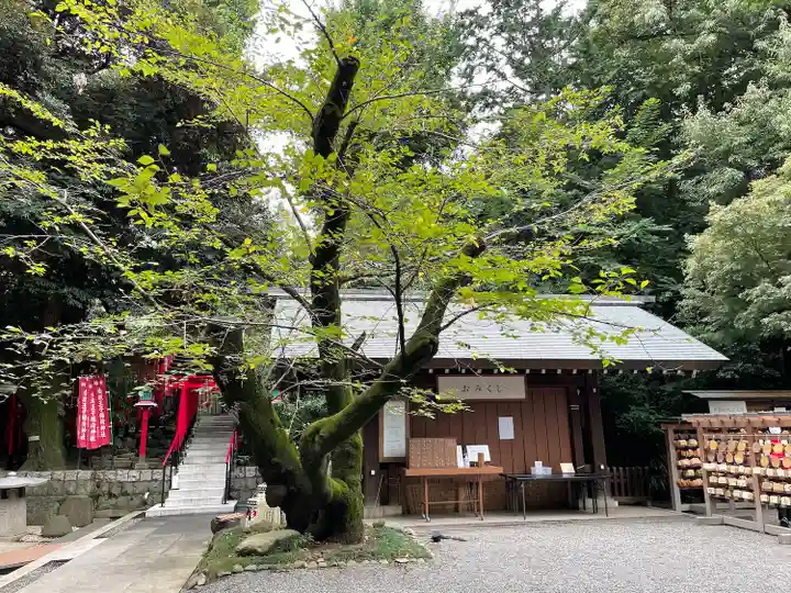 乃木神社(東京都)