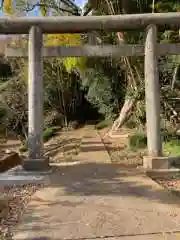 子ノ神社の鳥居