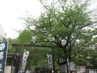 亀戸 香取神社(東京都)