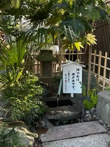葛飾八幡宮の{uncategorized: "未分類", other: "その他", undefined: "問題あり", building: "その他建物", grave: "お墓", sacred_gate: "鳥居", guardian: "狛犬", statue: "像", buddha: "仏像", history: "歴史", nature: "自然", garden: "庭園", animal: "動物", pagoda: "塔", temizu: "手水舎", mountain_gate: "山門・神門", sanctuary: "本殿・本堂", subordinate: "末社・摂社", art: "芸術", scenery: "景色", jizo: "地蔵", ema: "絵馬", goshuin: "御朱印", omikuji: "おみくじ", items: "授与品その他", amulet: "お守り", goshuincho: "御朱印帳", eats: "食事", festival: "お祭り", votive_dance: "神楽", shichigosan: "七五三参", wedding: "結婚式", experience: "体験その他", initially: "初詣", around: "周辺", anti_infection: "感染症対策"}