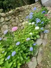 草薙神社の自然