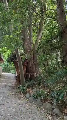 津八幡宮(三重県)