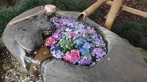馬場氷川神社の手水舎