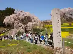 瀧桜神明宮(福島県)