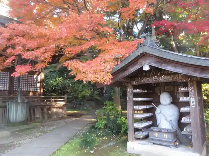 本土寺(千葉県)
