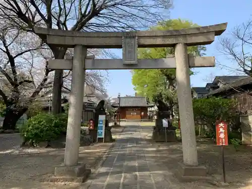 上戸田氷川神社の鳥居