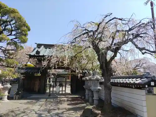 光明寺(埼玉県)