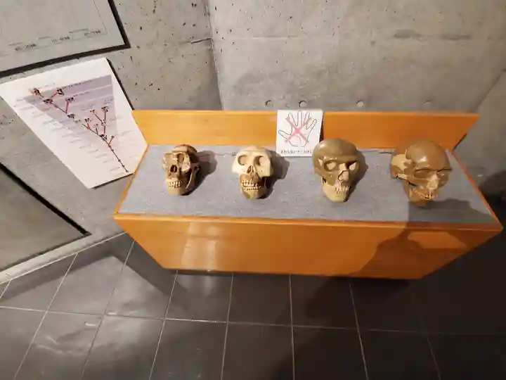 正一位稲荷神社(群馬県)