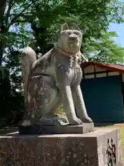 簗瀬　稲荷神社の狛犬