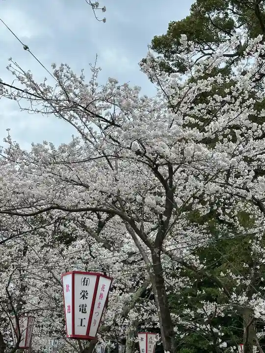 金崎宮(福井県)