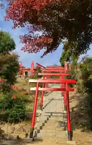 差出磯大嶽山神社 仕事と健康と厄よけの神さまの鳥居(2022年11月07日(月) 12時18分04秒投稿)