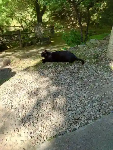 唐澤山神社(栃木県)